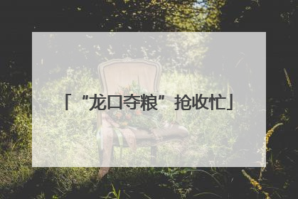“龙口夺粮”抢收忙