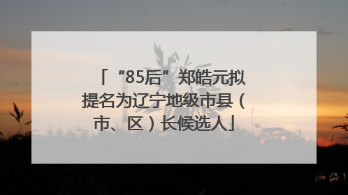 “85后”郑皓元拟提名为辽宁地级市县（市、区）长候选人