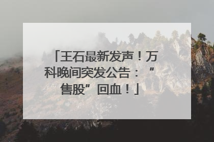 王石最新发声！万科晚间突发公告：“售股”回血！