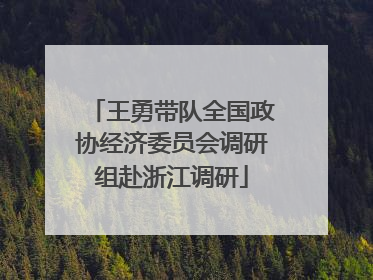 王勇带队全国政协经济委员会调研组赴浙江调研