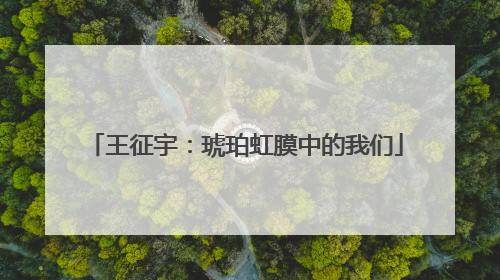 王征宇：琥珀虹膜中的我们