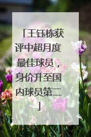 王钰栋获评中超月度最佳球员，身价升至国内球员第二
