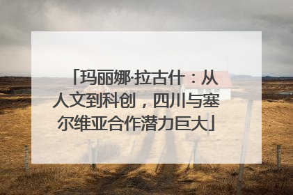 玛丽娜·拉古什：从人文到科创，四川与塞尔维亚合作潜力巨大