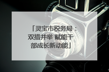 灵宝市税务局：双措并举 赋能干部成长新动能