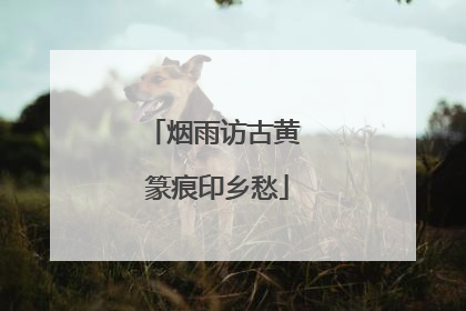 烟雨访古黄 篆痕印乡愁