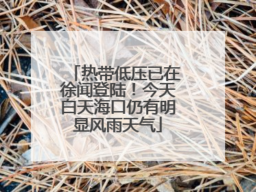 热带低压已在徐闻登陆！今天白天海口仍有明显风雨天气