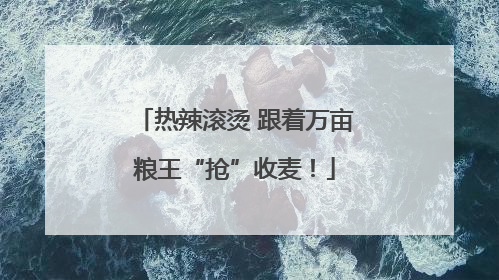 热辣滚烫 跟着万亩粮王“抢”收麦！
