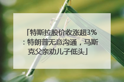 特斯拉股价收涨超3%：特朗普无意沟通，马斯克父亲劝儿子低头