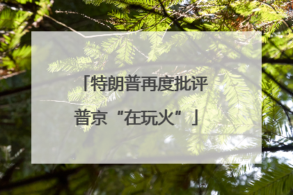 特朗普再度批评普京“在玩火”