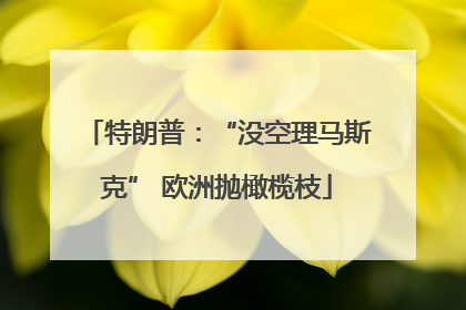 特朗普：“没空理马斯克” 欧洲抛橄榄枝