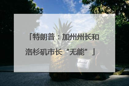 特朗普：加州州长和洛杉矶市长“无能”