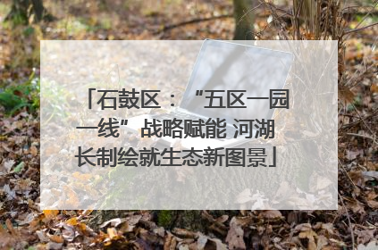 石鼓区：“五区一园一线”战略赋能 河湖长制绘就生态新图景