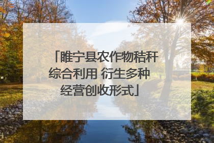 睢宁县农作物秸秆综合利用 衍生多种经营创收形式