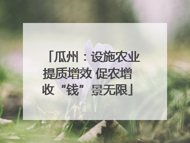 瓜州：设施农业提质增效 促农增收“钱”景无限