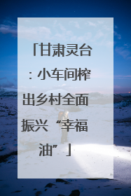 甘肃灵台：小车间榨出乡村全面振兴“幸福油”