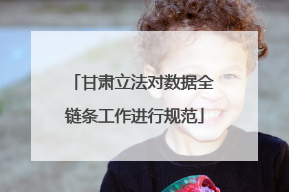 甘肃立法对数据全链条工作进行规范