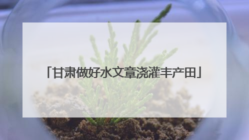 甘肃做好水文章浇灌丰产田