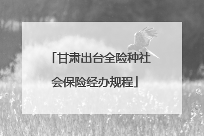 甘肃出台全险种社会保险经办规程