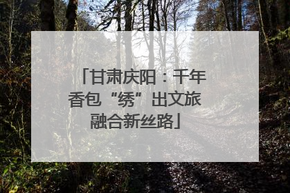 甘肃庆阳：千年香包“绣”出文旅融合新丝路