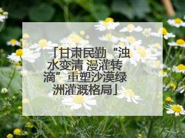 甘肃民勤“浊水变清 漫灌转滴”重塑沙漠绿洲灌溉格局
