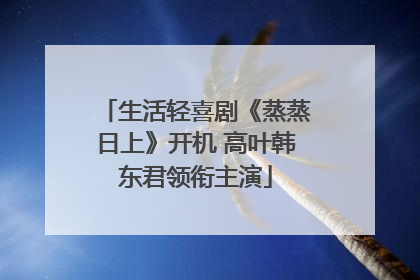 生活轻喜剧《蒸蒸日上》开机 高叶韩东君领衔主演