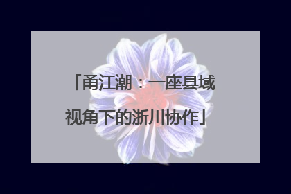 甬江潮：一座县域视角下的浙川协作