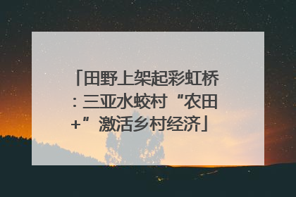田野上架起彩虹桥：三亚水蛟村“农田+”激活乡村经济