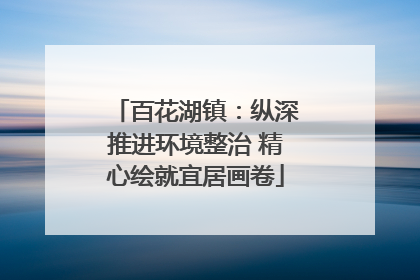 百花湖镇：纵深推进环境整治 精心绘就宜居画卷