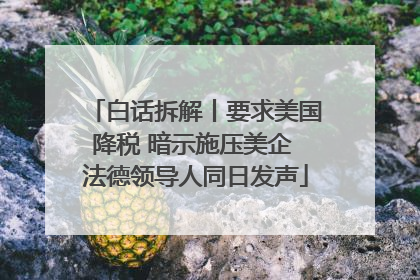 白话拆解丨要求美国降税 暗示施压美企 法德领导人同日发声