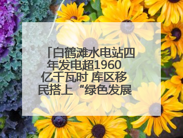 白鹤滩水电站四年发电超1960亿千瓦时 库区移民搭上“绿色发展快车”