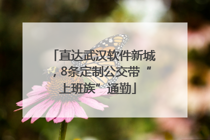 直达武汉软件新城，8条定制公交带“上班族”通勤