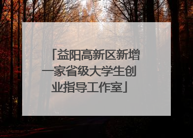 益阳高新区新增一家省级大学生创业指导工作室