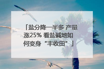 盐分降一半多 产量涨25% 看盐碱地如何变身“丰收田”