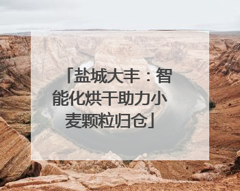 盐城大丰：智能化烘干助力小麦颗粒归仓