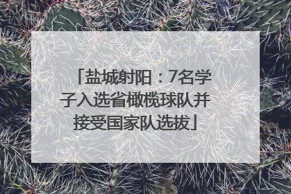 盐城射阳：7名学子入选省橄榄球队并接受国家队选拔