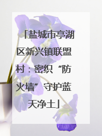 盐城市亭湖区新兴镇联盟村：密织“防火墙”守护蓝天净土