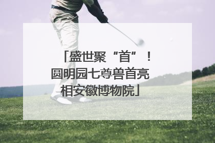 盛世聚“首”！圆明园七尊兽首亮相安徽博物院