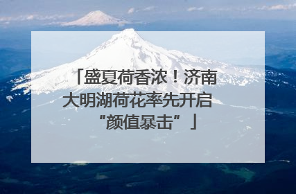 盛夏荷香浓！济南大明湖荷花率先开启“颜值暴击”