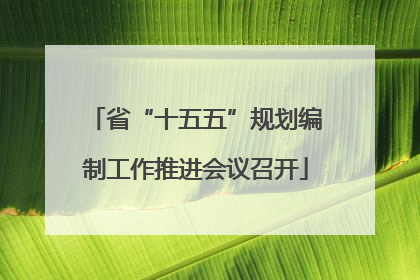 省“十五五”规划编制工作推进会议召开