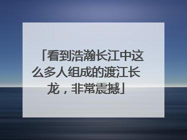 看到浩瀚长江中这么多人组成的渡江长龙，非常震撼