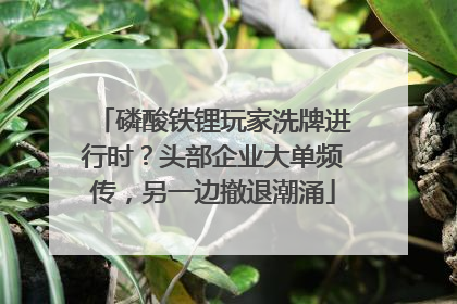 磷酸铁锂玩家洗牌进行时？头部企业大单频传，另一边撤退潮涌