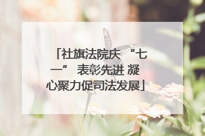 社旗法院庆 “七一” 表彰先进 凝心聚力促司法发展