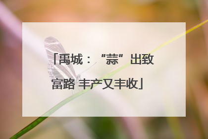 禹城：“蒜”出致富路 丰产又丰收
