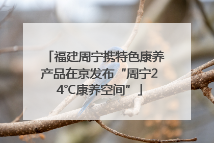 福建周宁携特色康养产品在京发布“周宁24℃康养空间”