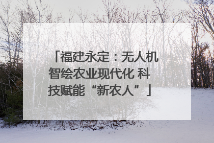 福建永定：无人机智绘农业现代化 科技赋能“新农人”