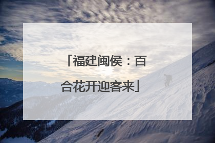 福建闽侯：百合花开迎客来