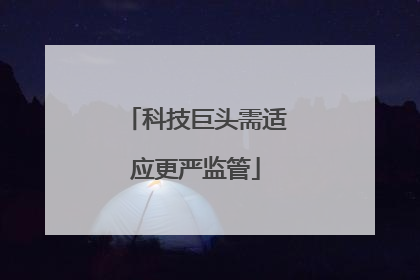 科技巨头需适应更严监管