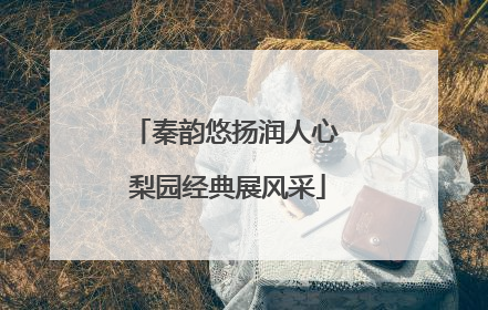 秦韵悠扬润人心 梨园经典展风采