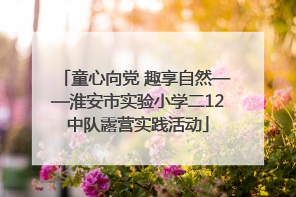 童心向党 趣享自然——淮安市实验小学二12中队露营实践活动