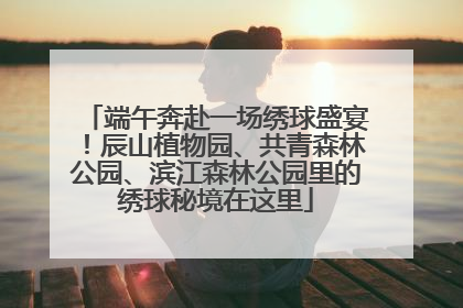 端午奔赴一场绣球盛宴！辰山植物园、共青森林公园、滨江森林公园里的绣球秘境在这里